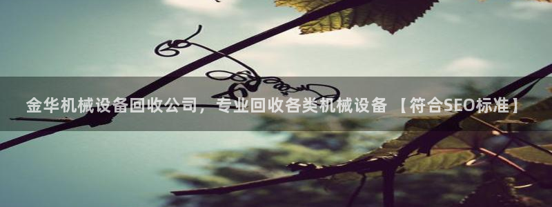 ag九游网