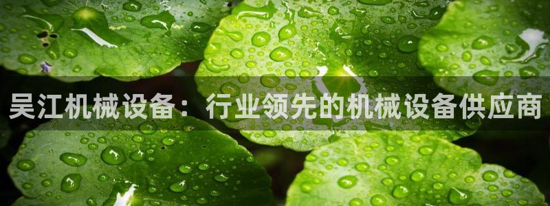 九游会客户端官网