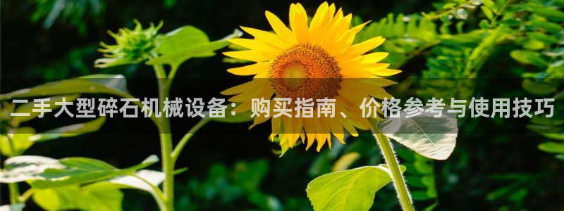 九游会提款快吗