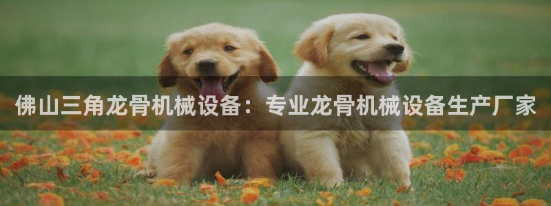 j9九游会app在哪里