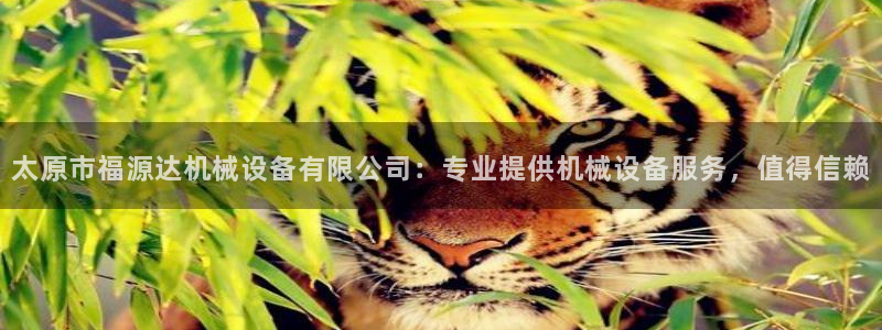 九游会官网平台