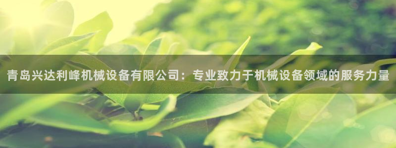 九游会j9官方网站