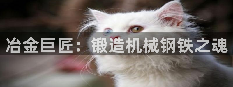 九游会的网址是多少