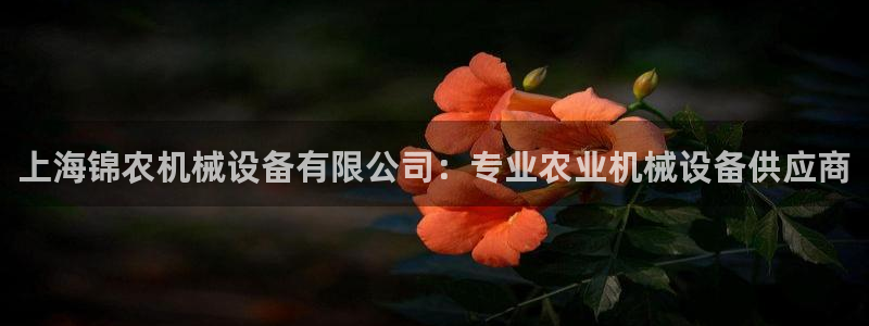 九游会官方地址