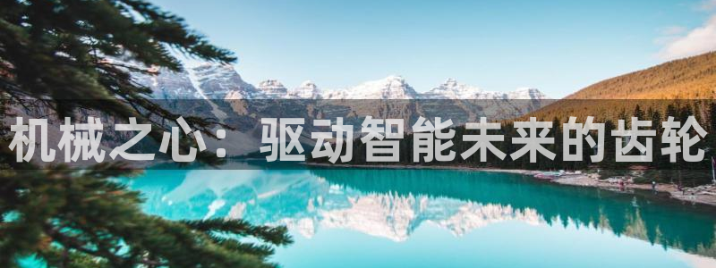 j9九游会永久域名