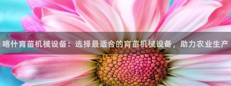 九游会在线官方下载吗