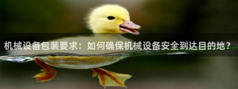 J9九游会国际站