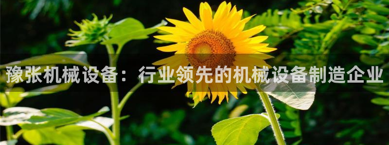 九游会电话