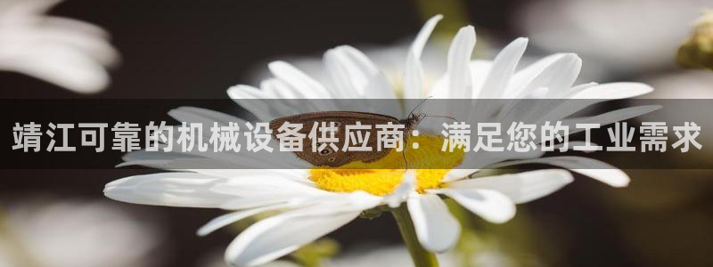j9九游会下载