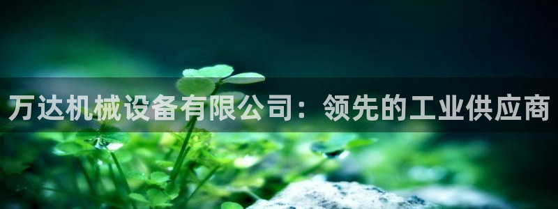 j9j4.cn