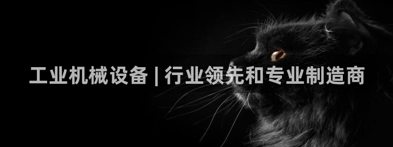 九游会网址是什么
