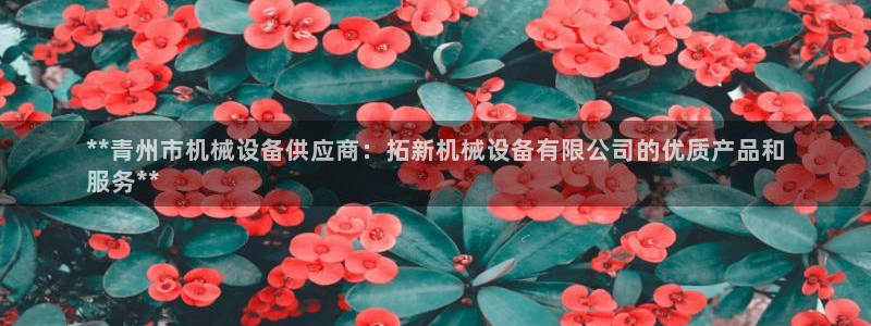 九游会ag登陆