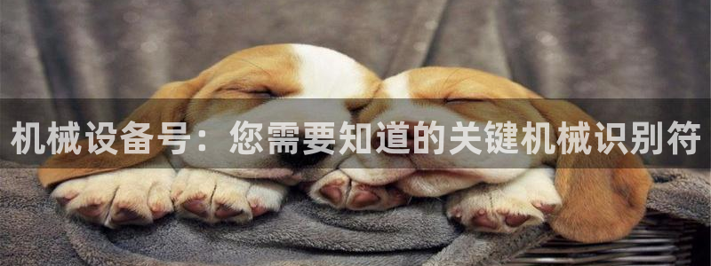j9九游会官方网站国际