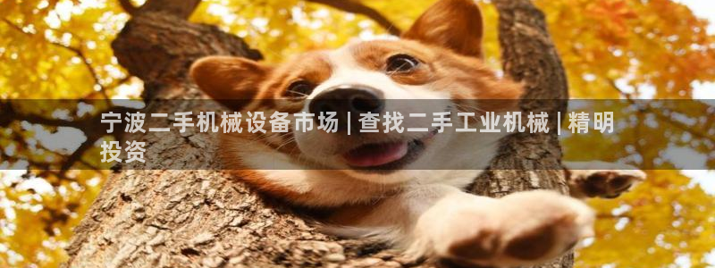 九游会 网址