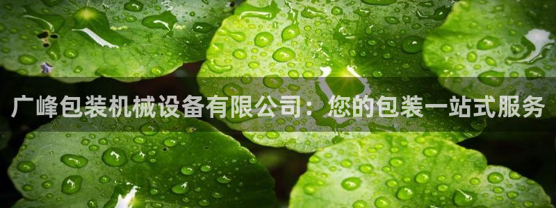 九游会软件