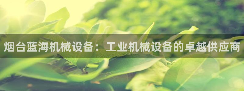 9游会app