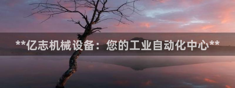 九游会集团货币