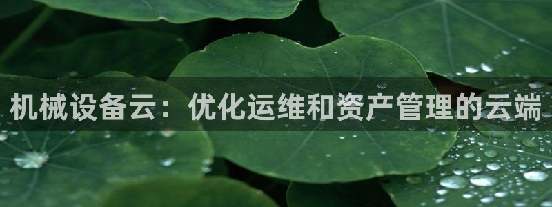 九游会线上平台吗