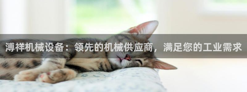 九游会官方视讯