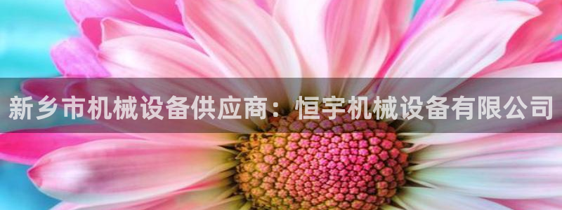 九游会网址多少