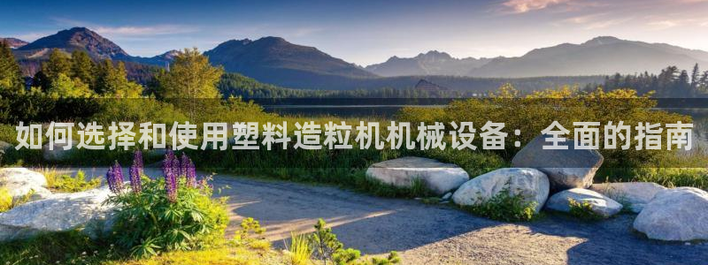 J9九游会是干嘛的
