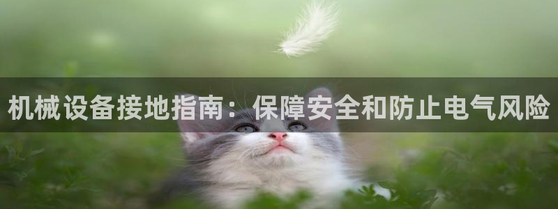 九游会AGapp下载