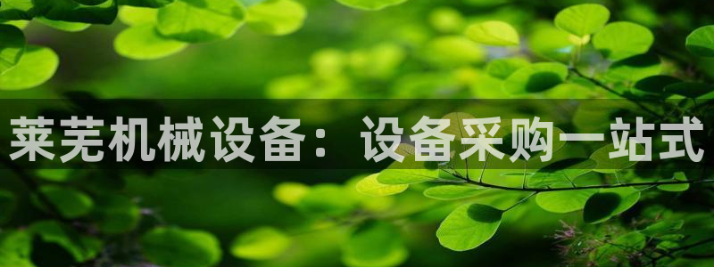 ag九游会集团