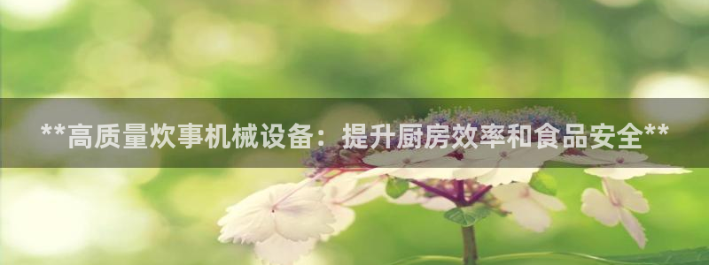 ag亚洲国际游戏九游会