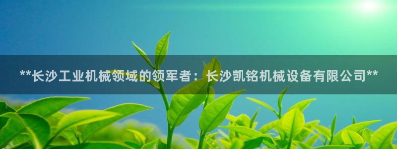 九游会ag318