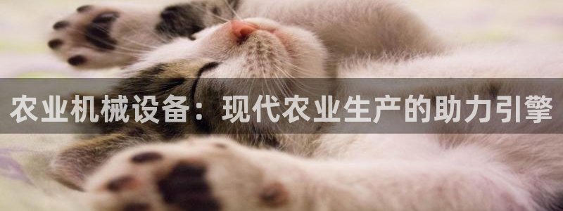 j9九游会真人游戏第一品牌捕鱼王