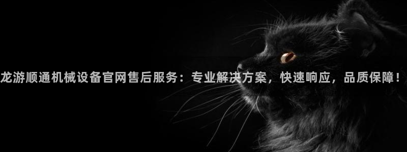 九游会是一个什么网站