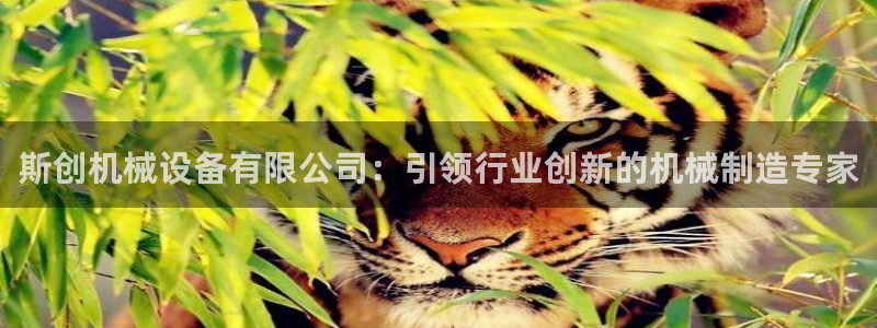 九游会集团登陆