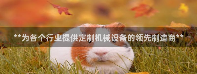 j9九游会入口