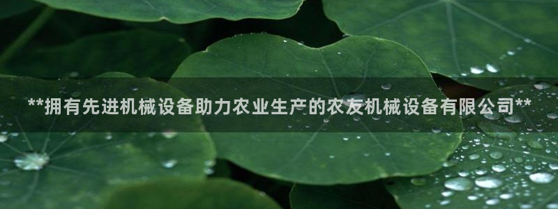 九游会老哥俱乐部