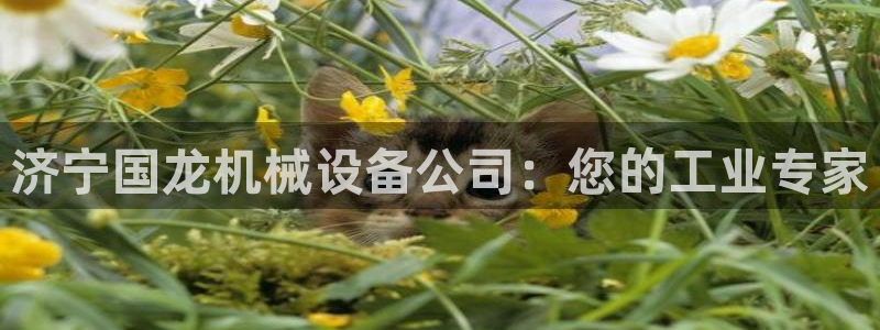 九游j9