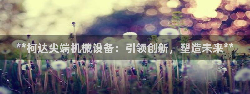 九游会是干嘛的