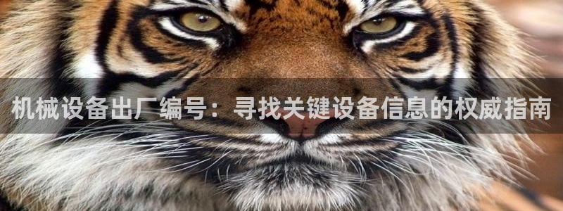 j9九游会老哥俱乐部成员