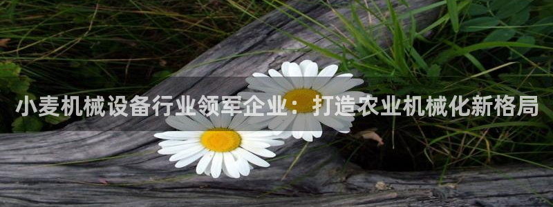 九游会在线官方网站