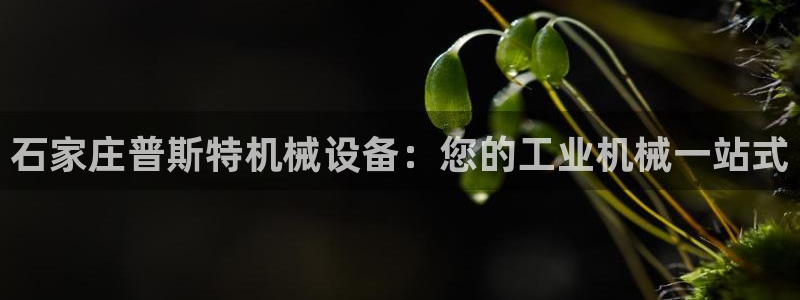九游会网址入口