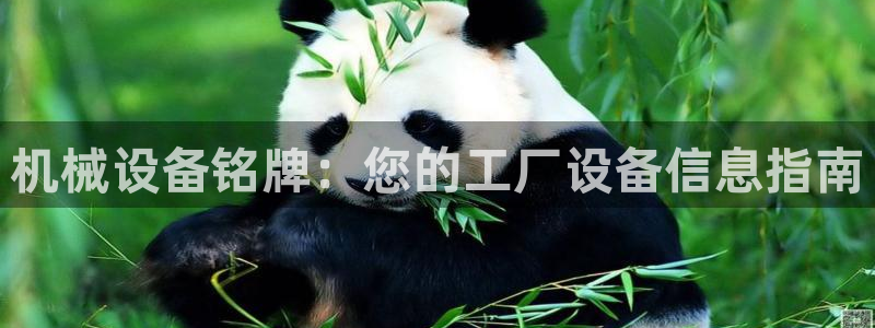 九游会官网下载最新版