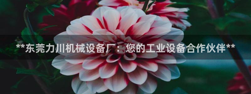 ag九游网