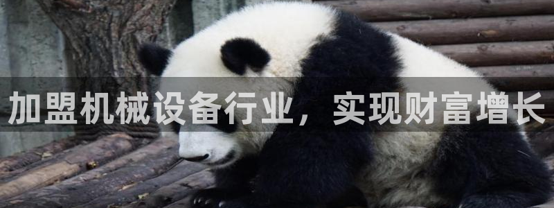 j9九游会app官网下载