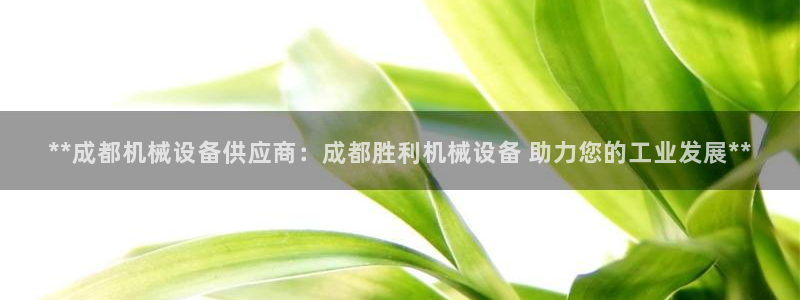 j9九游会体育