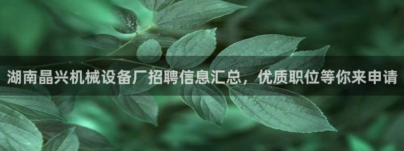 九游会怎么提币