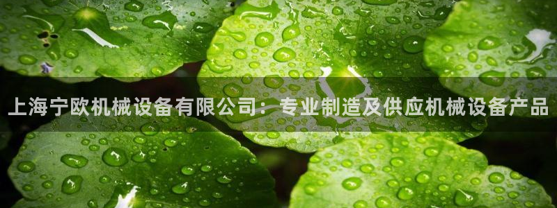 九游会集团货币