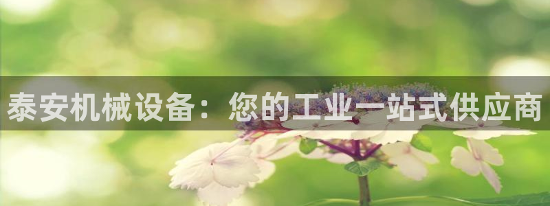 九游会ag网址大全专业版