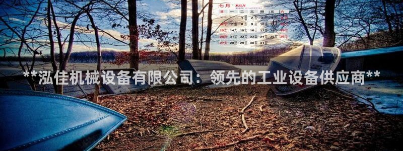 九游会中国入口嘛
