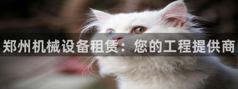 九游会官网登录首页