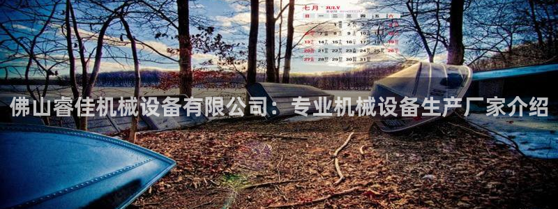 J9九游会九游国际版