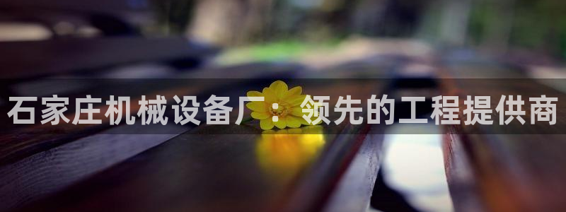 ag九游会官网网址